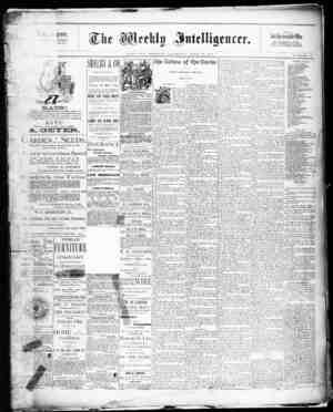 The Weekly Intelligencer Newspaper April 25, 1891 kapağı