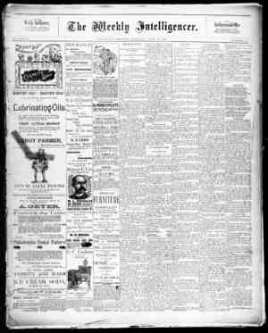 The Weekly Intelligencer Newspaper June 20, 1891 kapağı