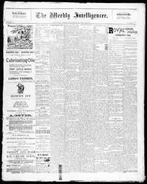 The Weekly Intelligencer Newspaper July 25, 1891 kapağı