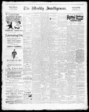 The Weekly Intelligencer Newspaper August 1, 1891 kapağı