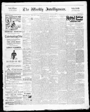 The Weekly Intelligencer Newspaper August 8, 1891 kapağı