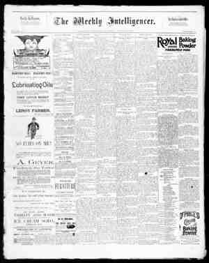 The Weekly Intelligencer Newspaper August 15, 1891 kapağı