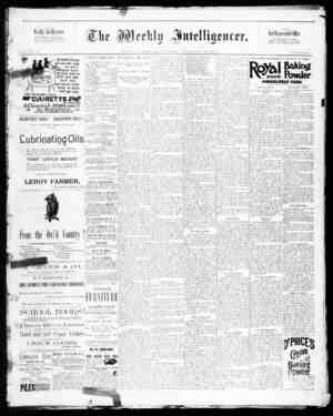 The Weekly Intelligencer Newspaper September 19, 1891 kapağı