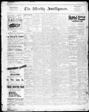 The Weekly Intelligencer Newspaper October 17, 1891 kapağı