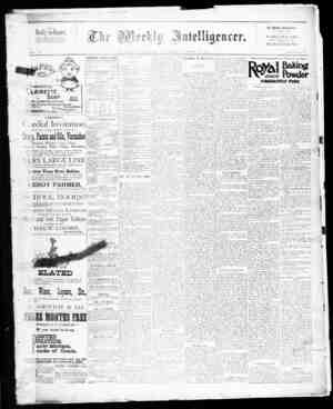The Weekly Intelligencer Newspaper October 24, 1891 kapağı