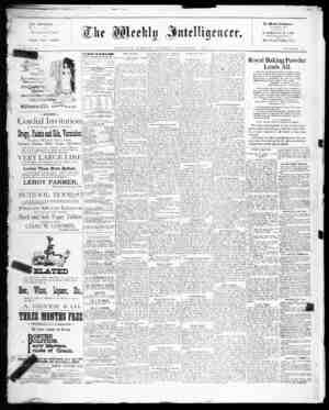 The Weekly Intelligencer Newspaper November 7, 1891 kapağı