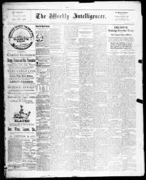 The Weekly Intelligencer Newspaper November 14, 1891 kapağı
