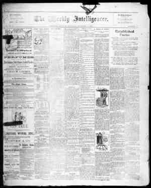 The Weekly Intelligencer Newspaper December 19, 1891 kapağı