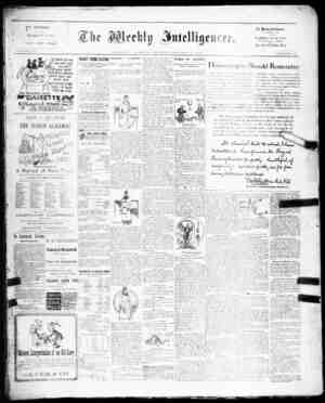 The Weekly Intelligencer Newspaper January 16, 1892 kapağı
