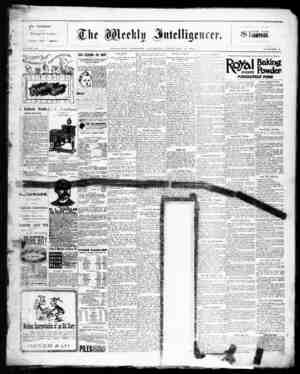 The Weekly Intelligencer Newspaper February 13, 1892 kapağı