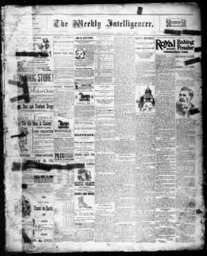 The Weekly Intelligencer Newspaper April 30, 1892 kapağı