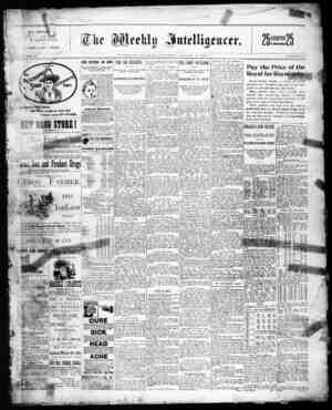 The Weekly Intelligencer Newspaper August 13, 1892 kapağı