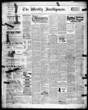 The Weekly Intelligencer Newspaper November 19, 1892 kapağı