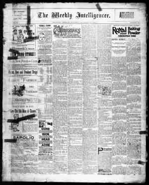 The Weekly Intelligencer Newspaper November 26, 1892 kapağı