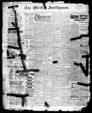 The Weekly Intelligencer Newspaper December 31, 1892 kapağı